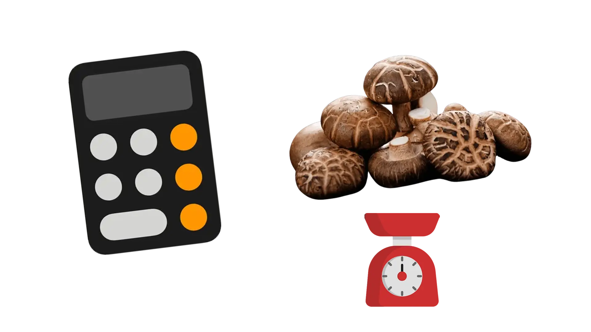 Shiitake dosage per day: how much to take? Recommended daily dose & calculator